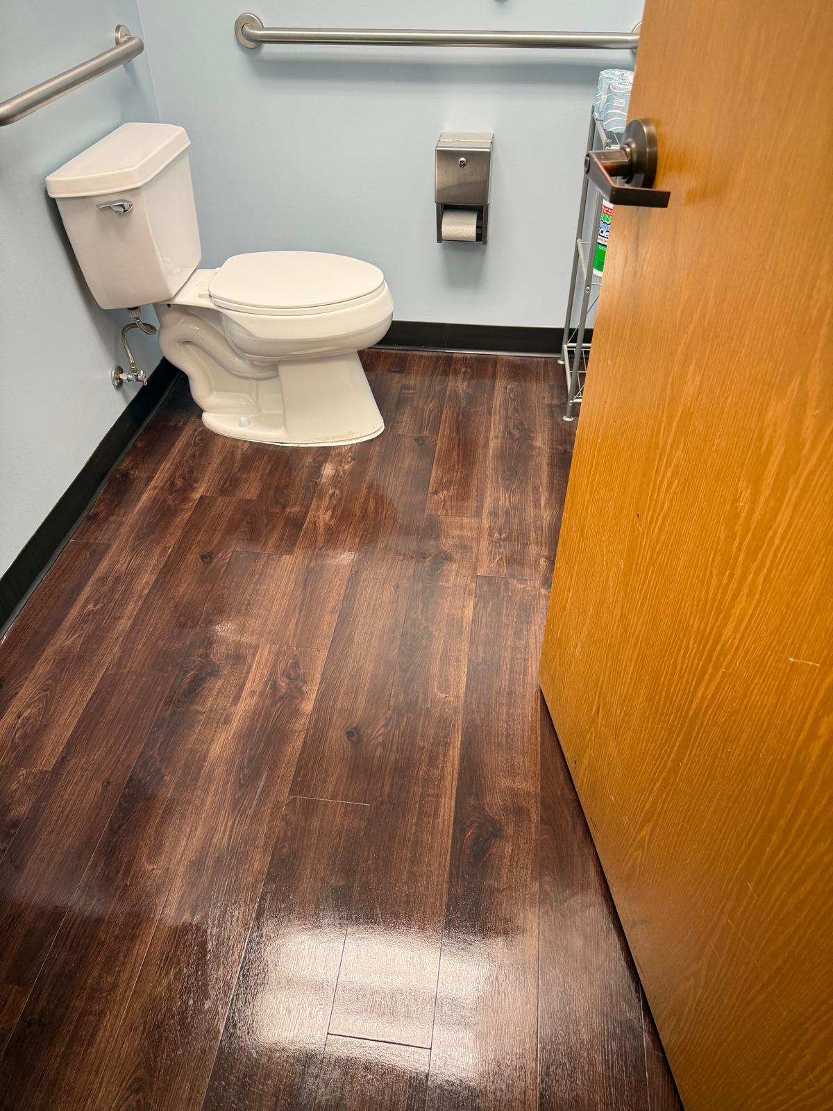 Restroom with grab bars and brown wood-look flooring